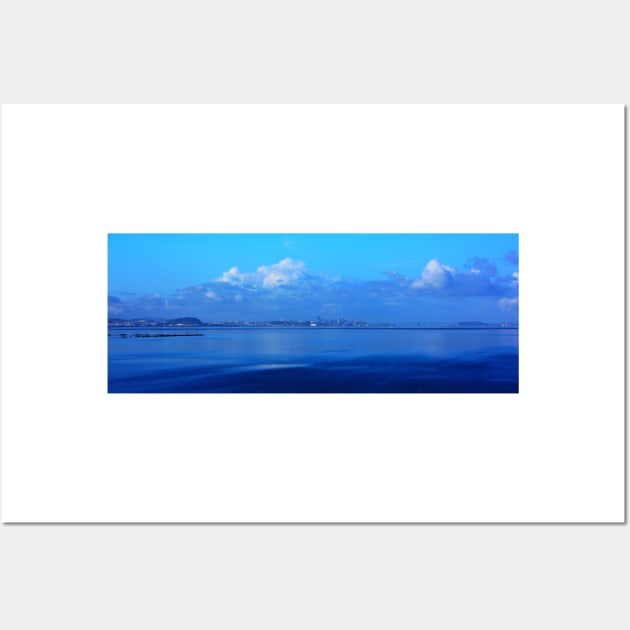 San Francisco and the Bay Bridge from Seal Point Park. 2010 Wall Art by IgorPozdnyakov